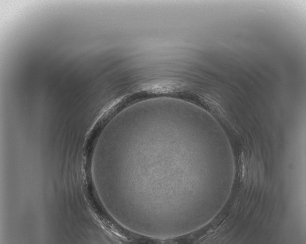 X0000054410400200508051745