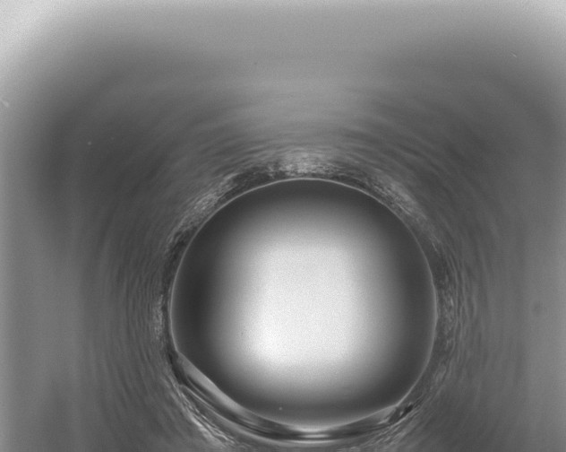 X0000054410401200508051745