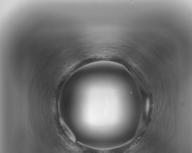 X0000054410403200508051745