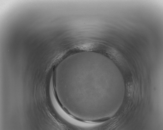 X0000054410404200508051745