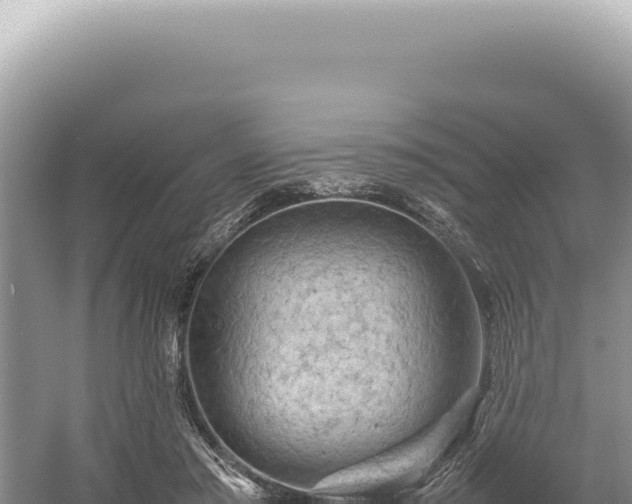 X0000054410405200508051745