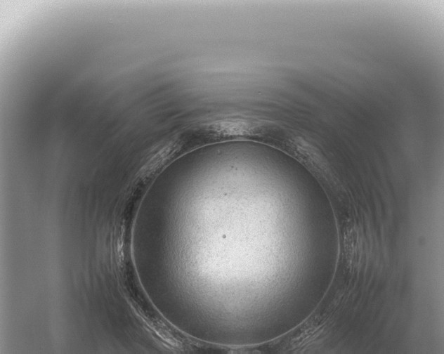 X0000054410406200508051745