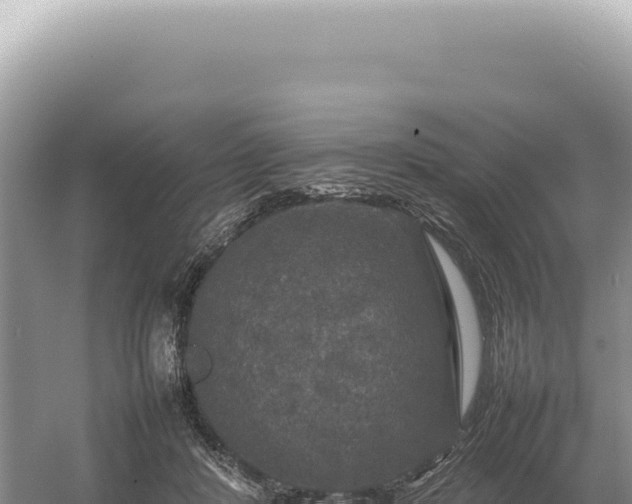 X0000054410408200508051745