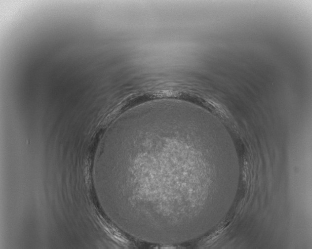 X0000054410409200508051745