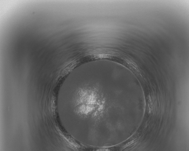 X0000054410410200508051745