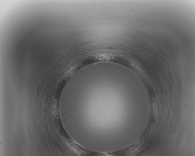 X0000054410411200508051745