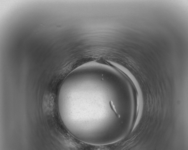 X0000054410412200508051745