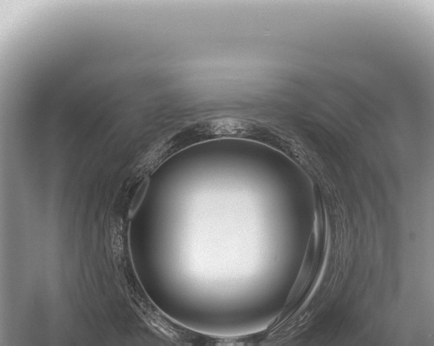 X0000054410413200508051745