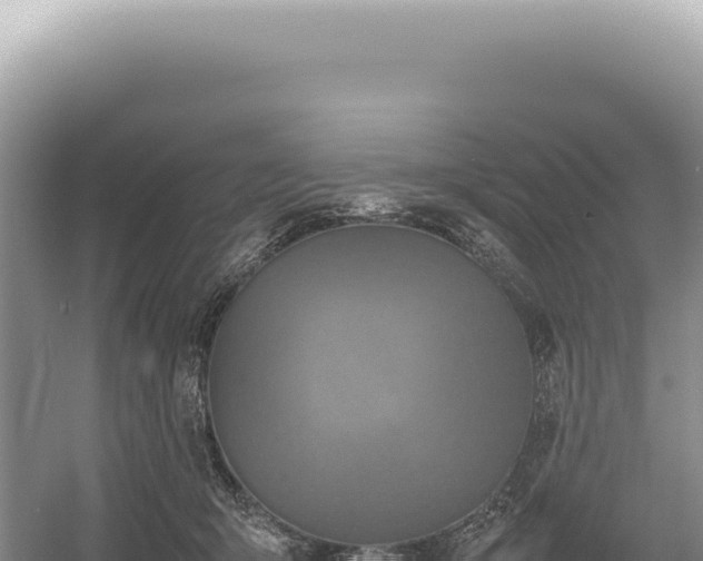 X0000054410415200508051745