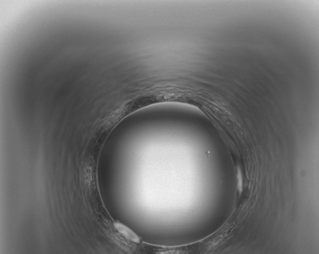 X0000054410417200508051745