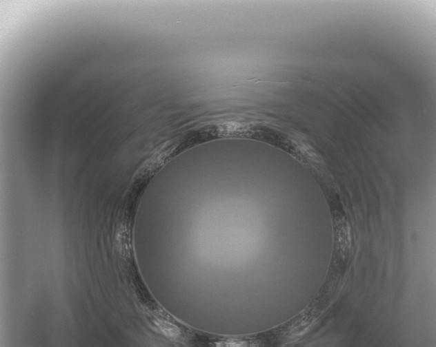 X0000054410419200508051745