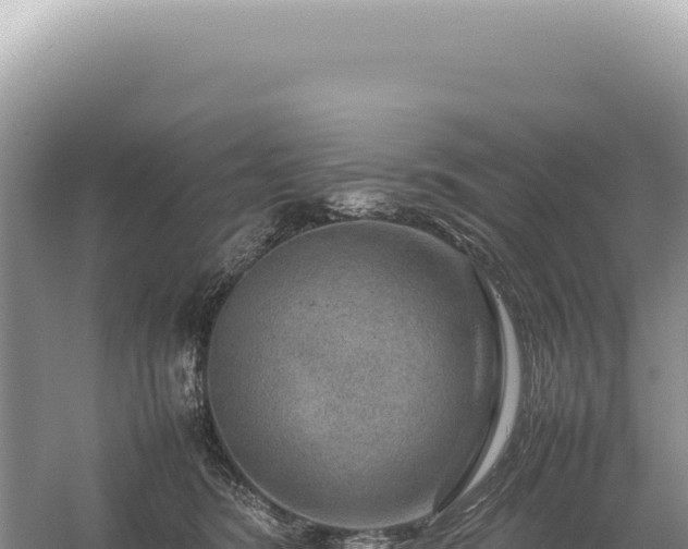 X0000054410420200508051745