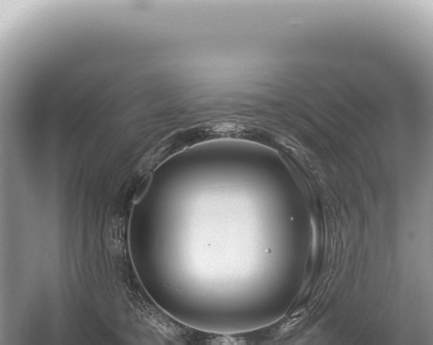 X0000054410421200508051745