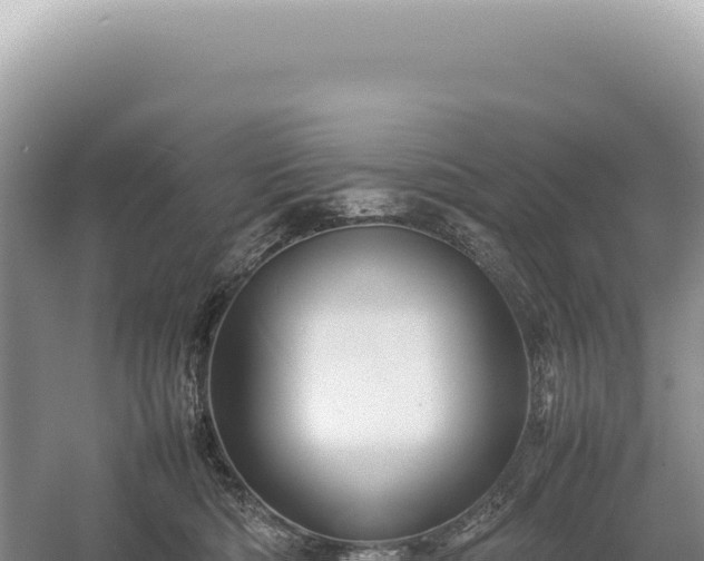 X0000054410422200508051745