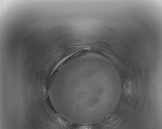 X0000054410424200508051745