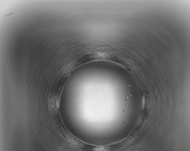 X0000054410425200508051745