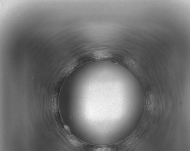 X0000054410426200508051745