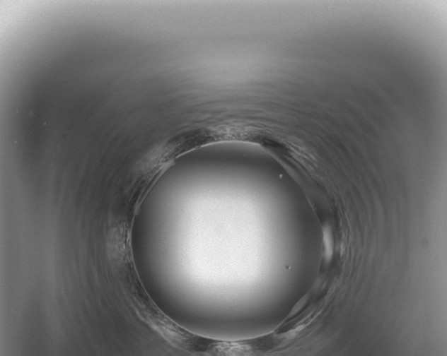 X0000054410429200508051744