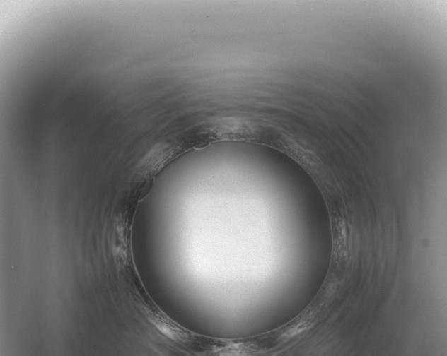 X0000054410430200508051744