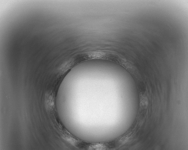 X0000054410431200508051744