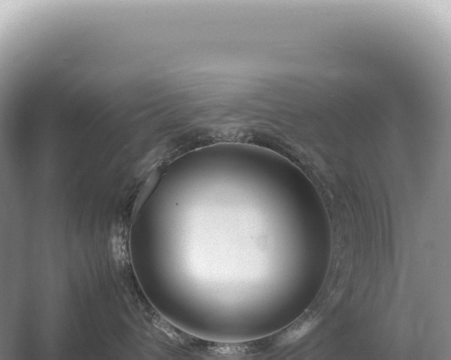 X0000054410432200508051744