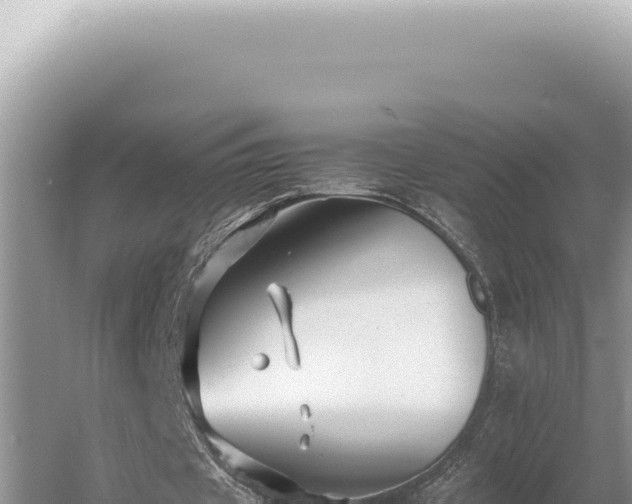 X0000054410433200508051744