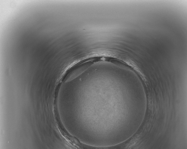 X0000054410434200508051744