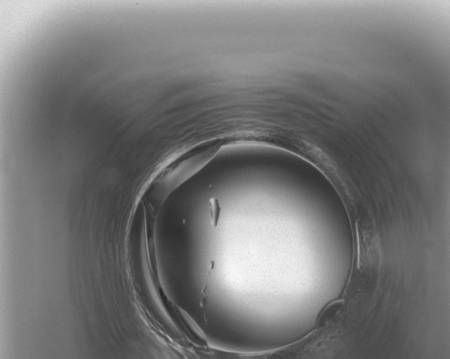 X0000054410435200508051744