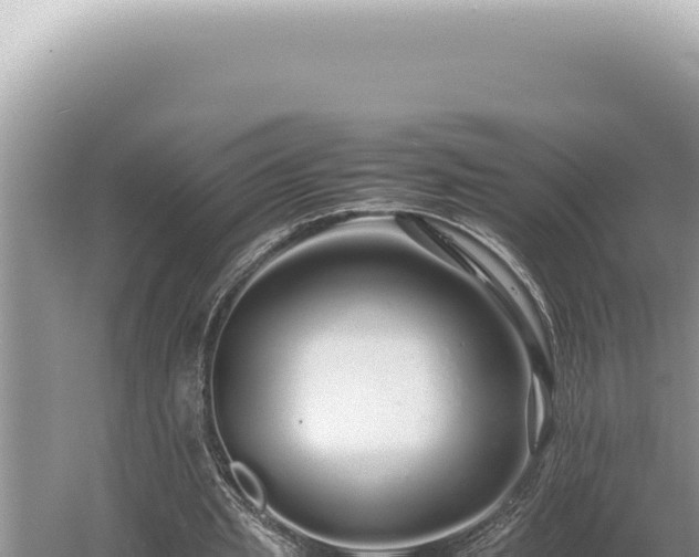 X0000054410437200508051744