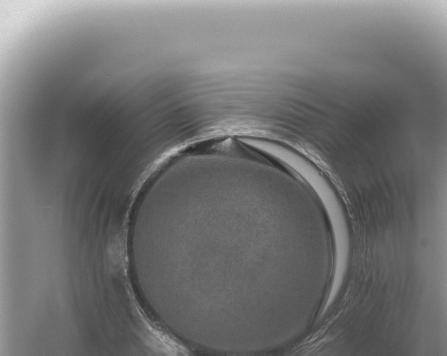 X0000054410438200508051744