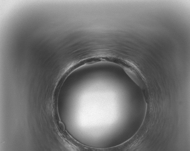 X0000054410439200508051744