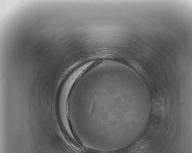 X0000054410442200508051744