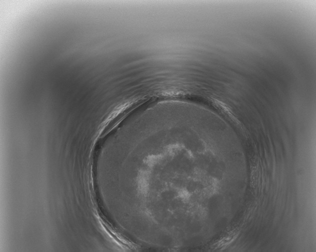 X0000054410443200508051744