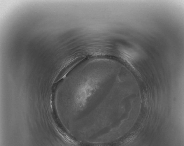 X0000054410447200508051744