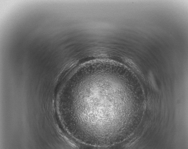 X0000054410449200508051744