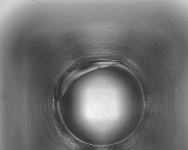 X0000054410452200508051744