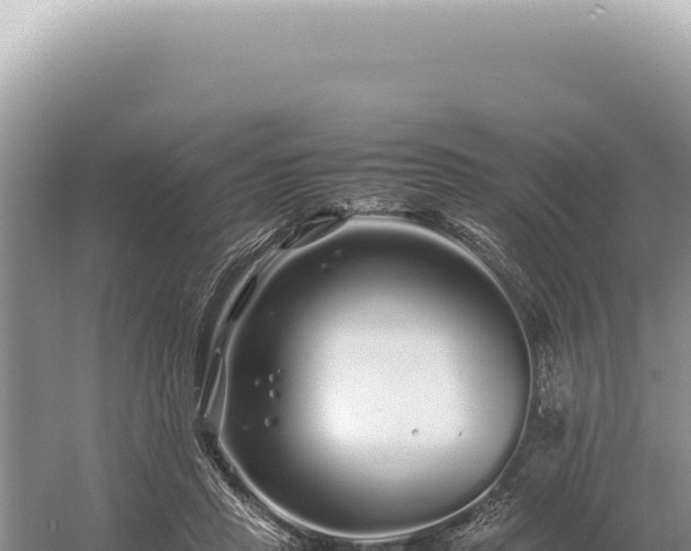 X0000054410453200508051744