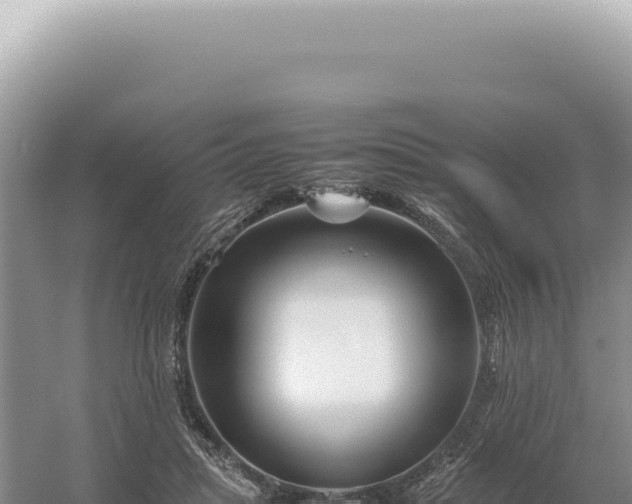 X0000054410455200508051744