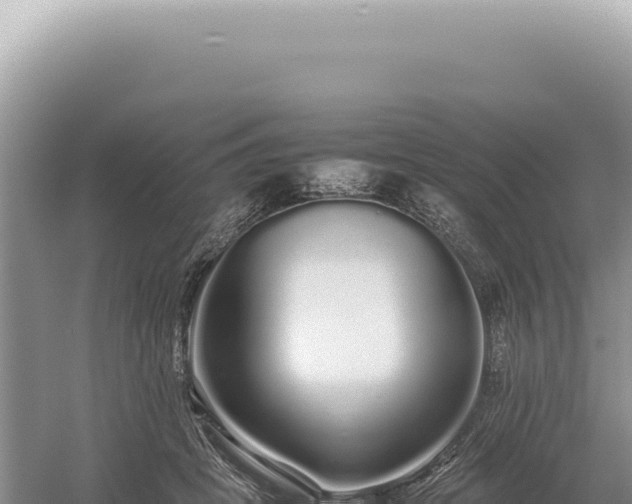 X0000054410457200508051744