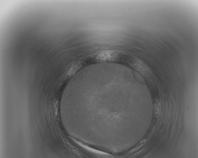 X0000054410458200508051744