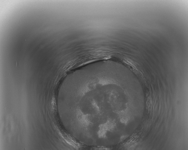 X0000054410459200508051744