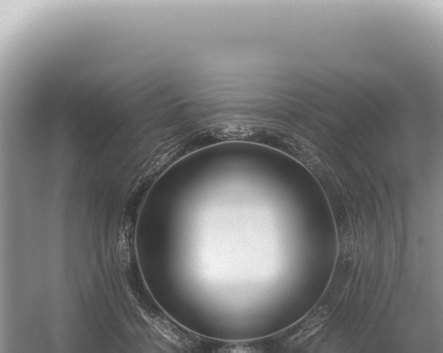 X0000054410460200508051744