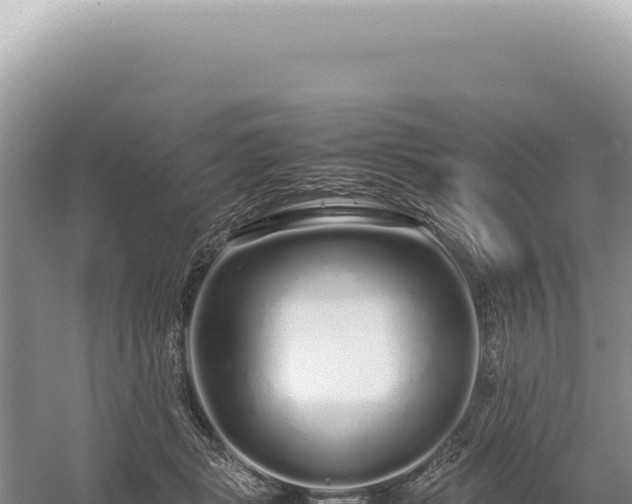 X0000054410461200508051744