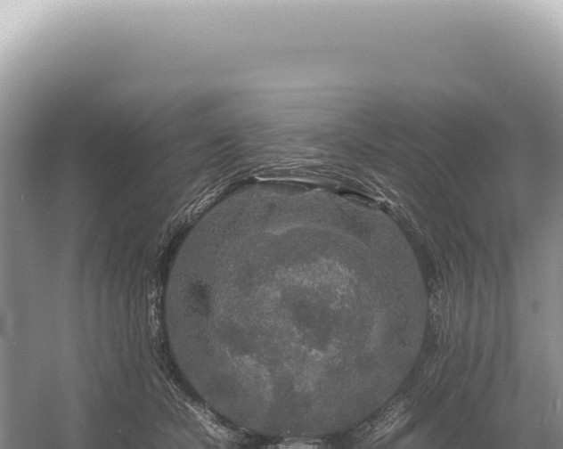 X0000054410462200508051744