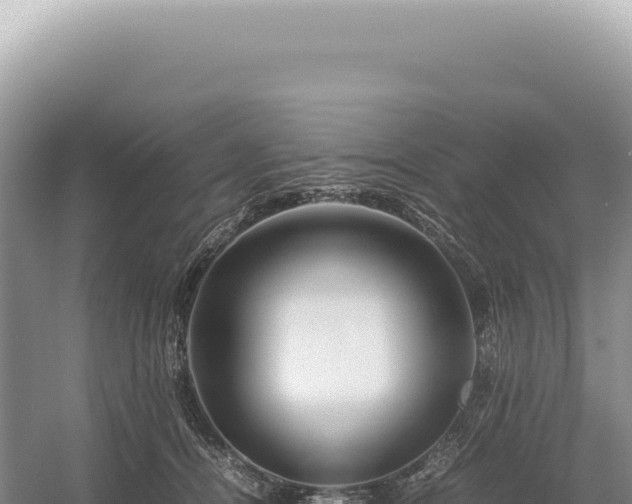 X0000054410464200508051744