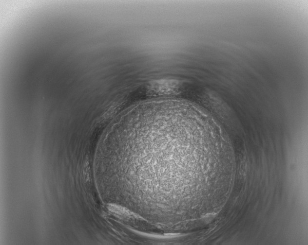 X0000054410465200508051744