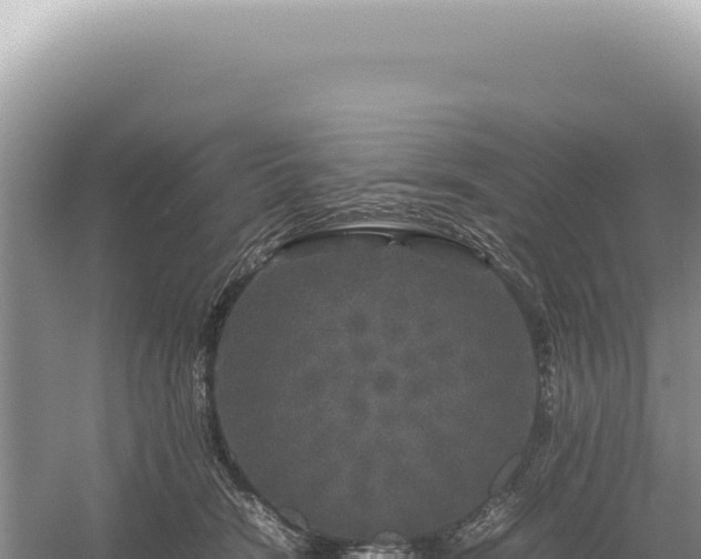 X0000054410466200508051744