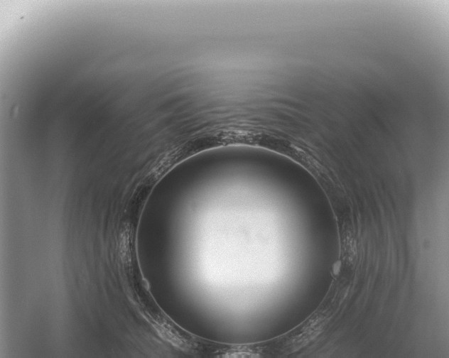 X0000054410468200508051744