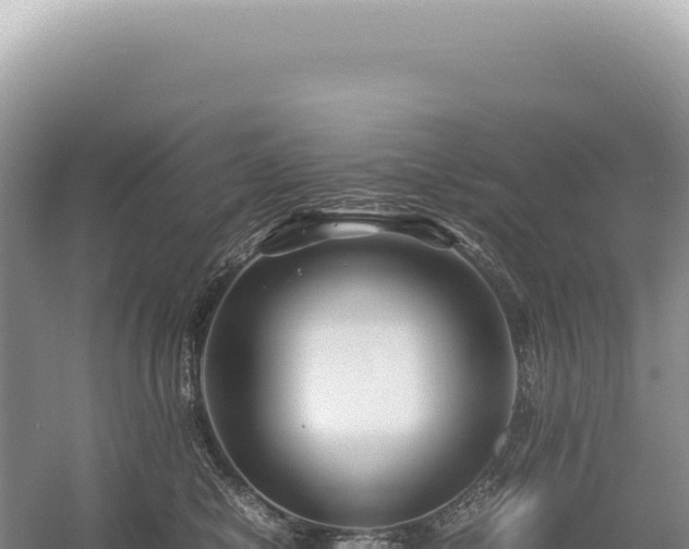 X0000054410470200508051744