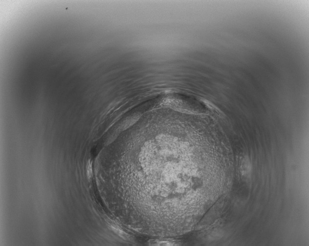 X0000054410475200508051744